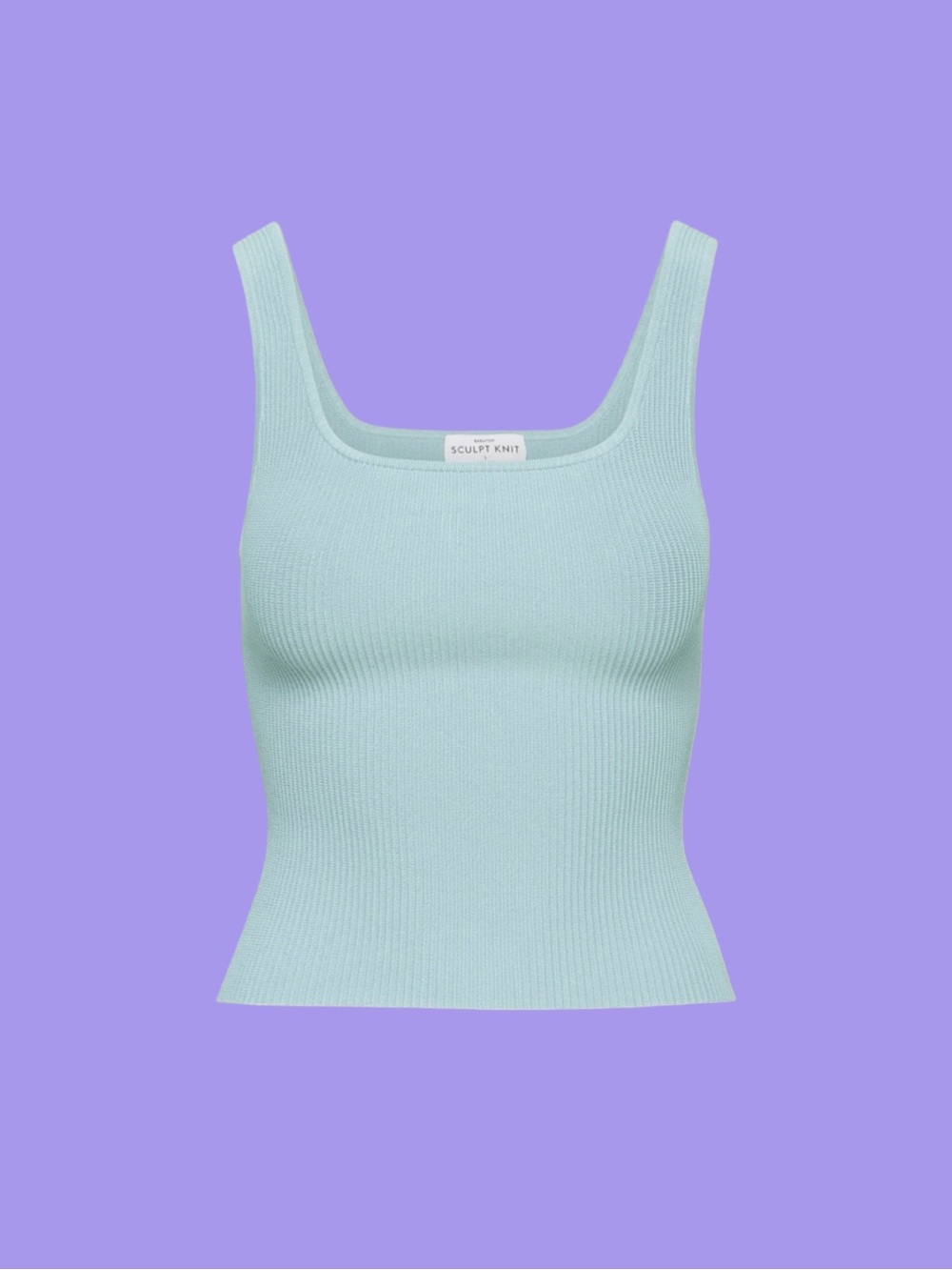4/30$ Babaton Sculpt tank top | Aritzia